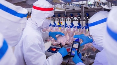 Resolution 57: Eine treibende Kraft für die Modernisierung der Viehwirtschaft in Dong Nai.