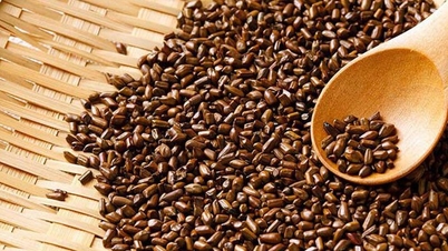 Quelles maladies les graines de séné peuvent-elles soigner ?