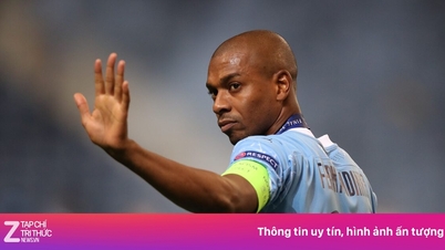 Fernandinho går i pension