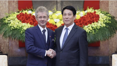 Vietnam - Czech Republic aim to expand new areas of cooperation