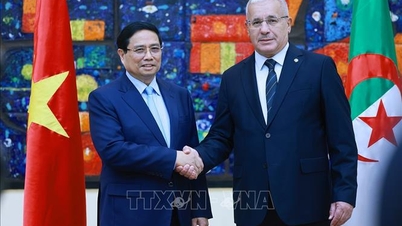 अल्जीरियाई मीडिया प्रधानमंत्री फाम मिन्ह चीन्ह की गतिविधियों पर प्रमुखता से रिपोर्ट जारी रखे हुए है।