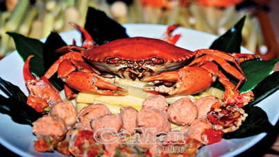 Ca Mau Crab: Positionierung auf neuen Höhen