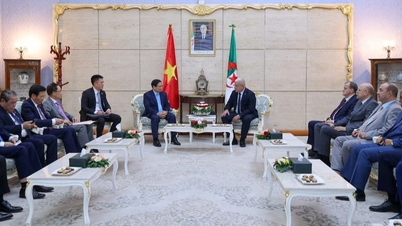 הצהרה משותפת על כינון שותפות אסטרטגית בין הרפובליקה הסוציאליסטית של וייטנאם לרפובליקה הדמוקרטית העממית של אלג'יריה