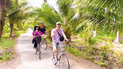 Promoting linkages in tourism development