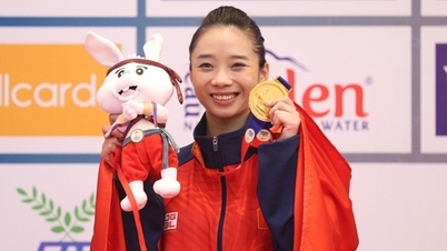 Сподівається, що В'єтнам "збере золото" на Іграх SEA 33