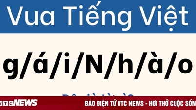 베트남 왕의 99%가 이 도전에 속았습니다.