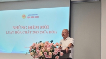 化学法2025：持続可能な開発を促進するための管理の有効性の向上