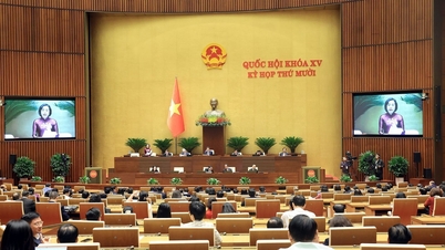 در ۲۱ نوامبر، مجلس ملی پیش‌نویس بسیاری از قوانین مهم را مورد بحث قرار داد.