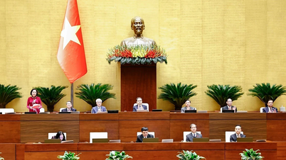 Heute diskutierte die Nationalversammlung den Gesetzentwurf zur künstlichen Intelligenz.