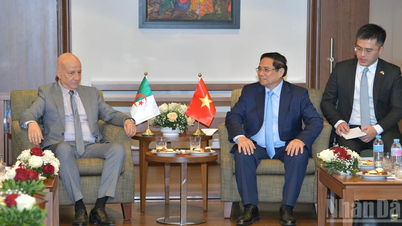 ທ່ານ​ນາ​ຍົກ​ລັດ​ຖະ​ມົນ​ຕີ ຟ້າມ​ມິງ​ຈິ້ງ ໄດ້​ຕ້ອນ​ຮັບ​ບັນ​ດາ​ເຈົ້າ​ໜ້າ​ທີ່​ລັດ​ຖະ​ບານ ແລະ​ພັກ​ການ​ເມືອງ Algeria ເປັນ​ຈຳ​ນວນ​ໜຶ່ງ.