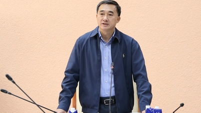 مخصوص طریقہ کار اور پالیسیوں سے متعلق قرارداد کو فوری طور پر مکمل کریں، بچ مائی ہسپتال، ویت ڈک فرینڈشپ ہسپتال کی دوسری سہولت کو عملی جامہ پہنائیں۔