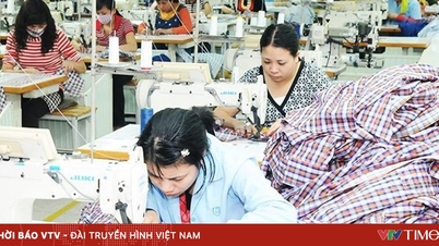 Zamówienia wietnamskich firm w USA są pełne do końca roku