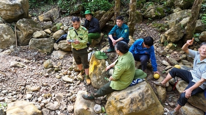 Dien Bien proaktivně předchází lesním požárům a chrání více než 592 tisíc hektarů lesní půdy.