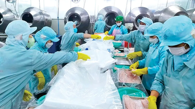 Can Tho មានកន្លែងប្រើប្រាស់ថាមពលសំខាន់ៗចំនួន 97 ។