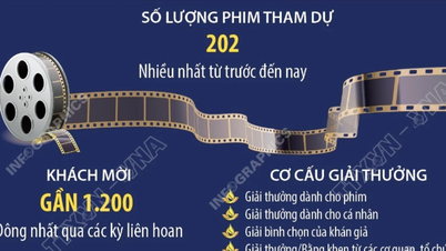 Liên hoan Phim Việt Nam lần thứ 24 diễn ra tại Thành phố Hồ Chí Minh