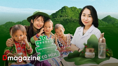 Cỏ Mềm: Hành trình một thập kỷ phát triển mỹ phẩm “lành và thật”