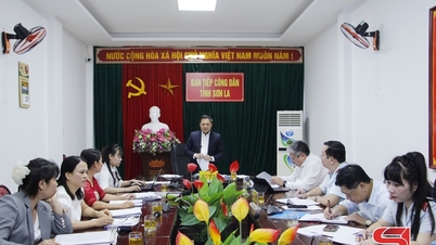 Faça um bom trabalho ao receber os cidadãos, lidar com reclamações e denúncias.