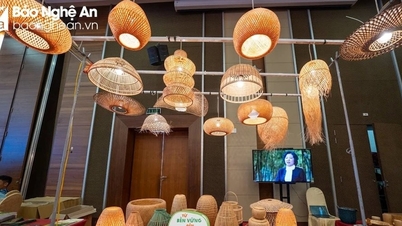 Exploiting local advantages and promoting the value of OCOP products in Nghe An