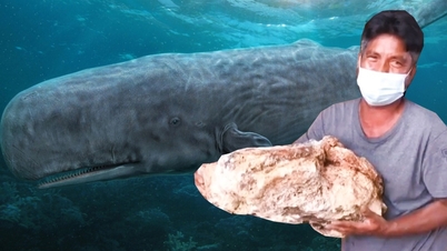 តើផ្លែអំពិលជាអ្វី ដែលមនុស្សជាច្រើនកំពុងស្វែងរក?