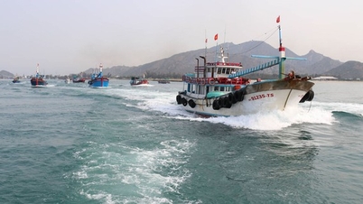 Halászhajók és halászok adatainak ellenőrzése a VNeID alkalmazáson