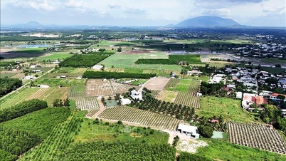 انتظار می‌رود سرمایه سبز، تحول سبز را تقویت کند