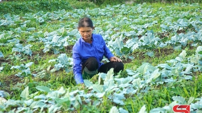 Mengatasi cuaca ekstrem di musim dingin