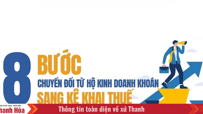 Átállás az átalányadóról a bevallásra: Mit tegyenek a vállalkozó háztartások a kockázatok elkerülése érdekében?