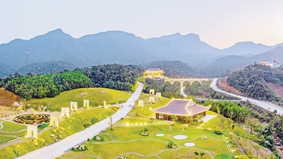 Ke arah menjadi bandar yang ditadbir pusat: Banyak komune berusaha untuk menjadi wad