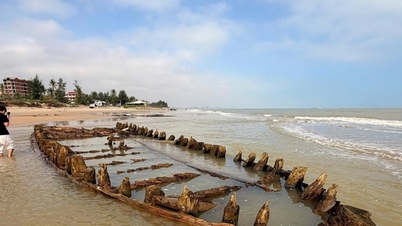 다낭, 호이안 해안에서 고대 선박 발굴 계획