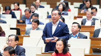 জাতীয় পরিষদের প্রতিনিধিরা উদ্বিগ্ন যে একীভূতকরণের পরে স্কুলগুলি দুর্বল হয়ে পড়বে