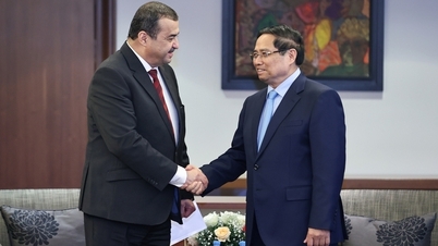 Vietnamul și Algeria promovează cooperarea în domeniul energiei solare și eoliene