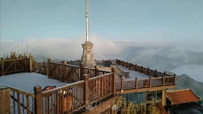 El pico Fansipan (Lao Cai) registra la primera helada.