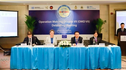 کشف و ضبط ۱۱.۸ تن مواد مخدر در عملیات هفتم اژدهای مکونگ