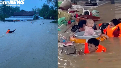 La course entre la vie et les flots déchaînés