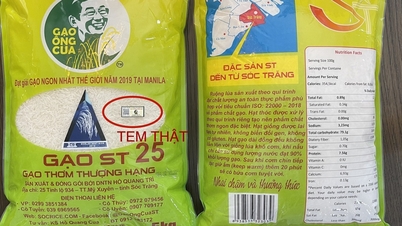 Orezul Ong Cua ST25 confirmă poziția orezului vietnamez
