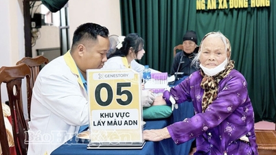 Polis Wilayah: Mengumpul sampel daripada lebih 12,300 saudara syahid dalam 2 minggu puncak