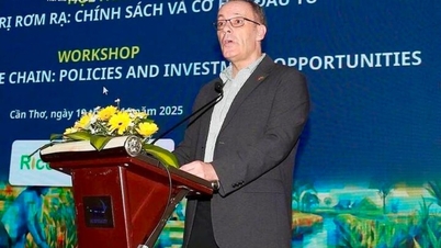 Desembaraçar centenas de toneladas de palha, abrindo caminho para uma economia verde.