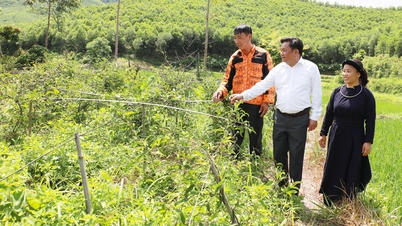 Choose the right career to escape poverty