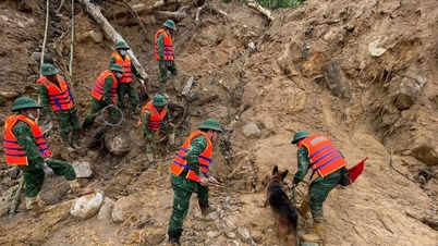 ឆ្មាំព្រំដែនទីក្រុង Da Nang ពន្លឿនការស្វែងរកជនរងគ្រោះដែលបាត់ខ្លួននៅ Hung Son