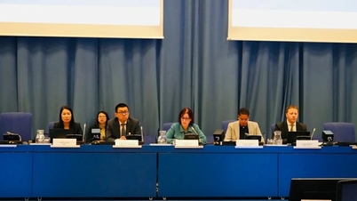 Vietnam, küresel nükleer güvenlik ve emniyetin sağlanmasına yönelik çabalara pratik katkılarda bulunmaktadır.