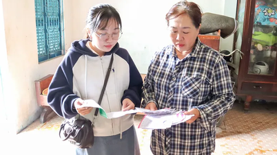 Kredittkapital «støtter» arbeidere som jobber i utlandet og internasjonale studenter