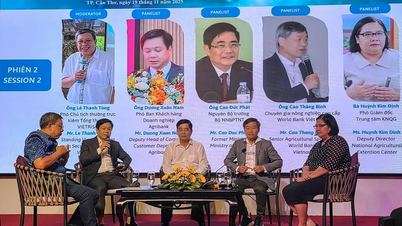 Προτείνοντας λύσεις και πολιτικές για την αποτελεσματική διαχείριση και αξιοποίηση του άχυρου