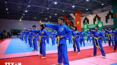 Seni mempertahankan diri Vietnam tersebar dengan kuat di wilayah Brittany di Perancis