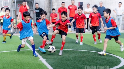 Sekolah Rendah Le Van Tam memberi tumpuan kepada pembangunan fizikal untuk pelajar.