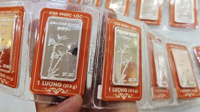 ราคาเงินวันนี้ 21 พ.ย. : ร่วงต่อเนื่อง กำลังซื้อต่ำ ช่องทางการลงทุนเงินไม่น่าสนใจอีกต่อไปแล้วหรือ?