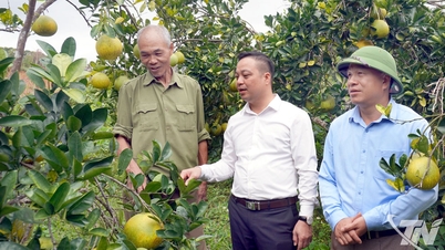 Endringer i arbeidet med fattigdomsbekjempelse i Xuan Duong
