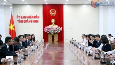 Μάθετε για τις επενδύσεις στο Κουάνγκ Νιν