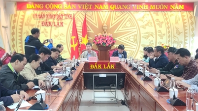 לגייס כוח מקסימלי, להתגבר על כמה שיותר