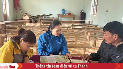 Sociale verzekeringssector versnelt om doelstellingen en taken in 2025 te voltooien