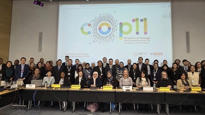 COP11 підтверджує пріоритет захисту молоді від нової тютюнової «епідемії»